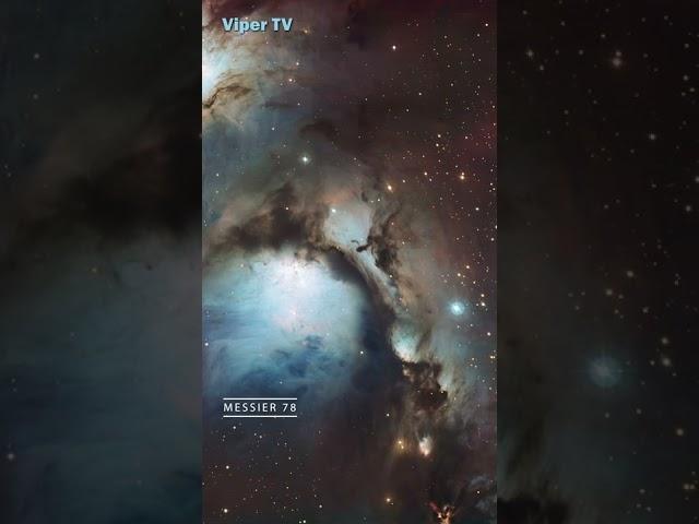Our Time is Limited, Physics Prevents Immortality, Forbidden by the Laws of the Universe