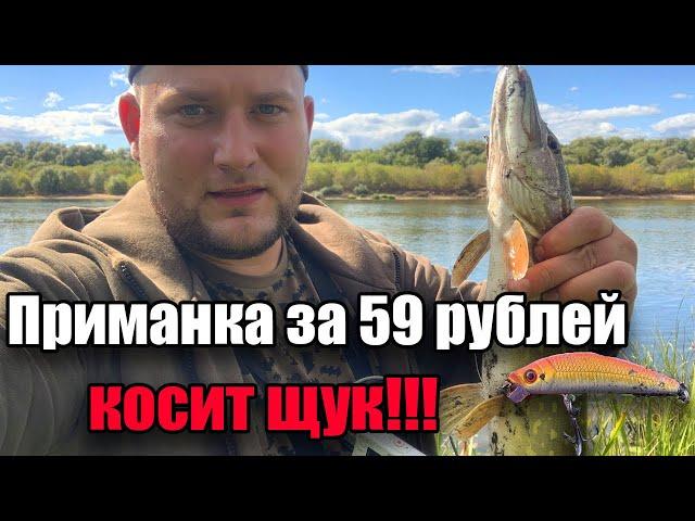 КИТАЙСКИЙ ВОБЛЕР ЗА 59 РУБЛЕЙ! КОСИТ ВСЕХ ЩУК - рыбалка на спиннинг