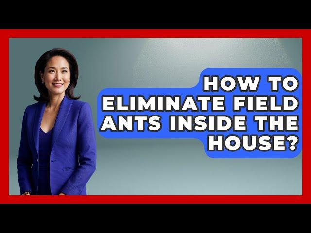 How To Eliminate Field Ants Inside The House? - Insects and Invaders