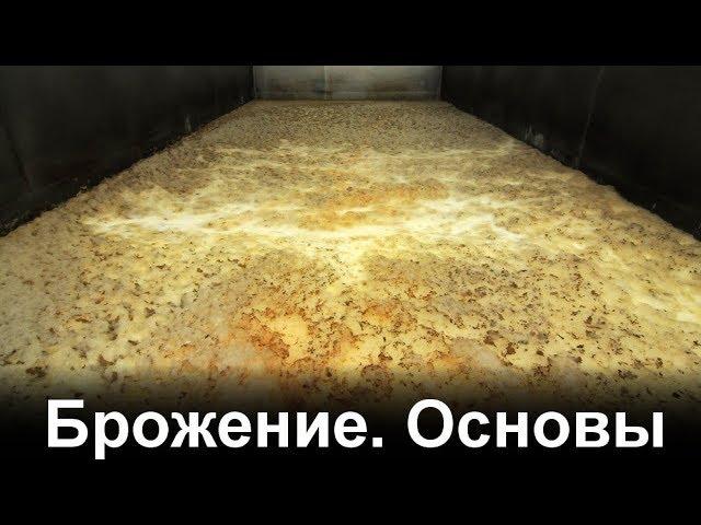 Брожение. Основы