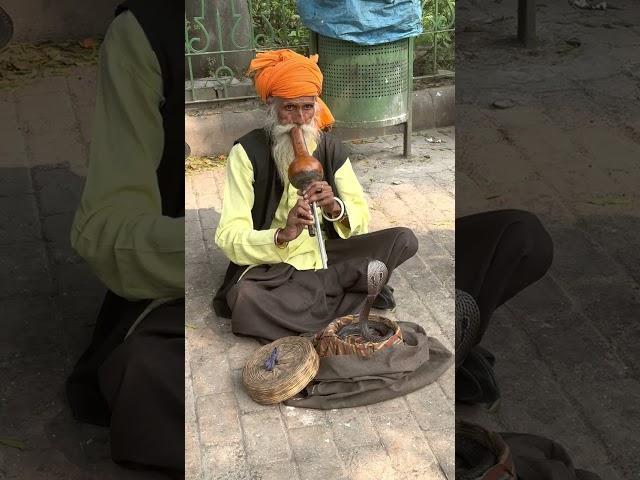 Snake Charmer in Delhi