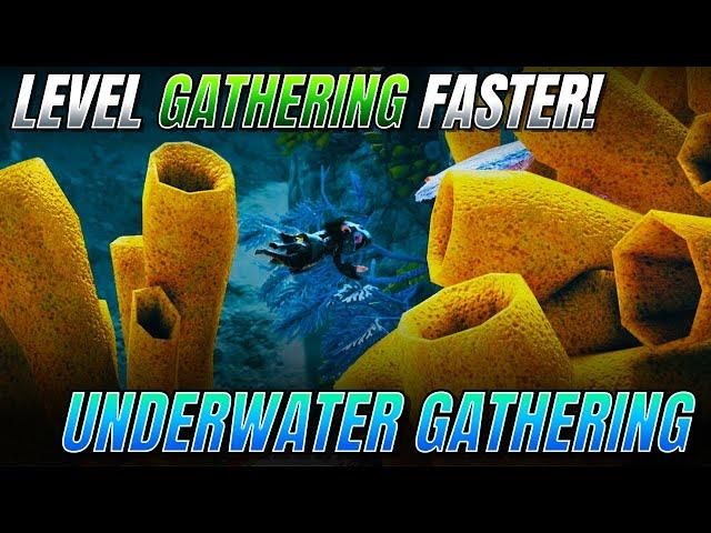 EVERYTHING Underwater Gathering Guide For Black Desert Online