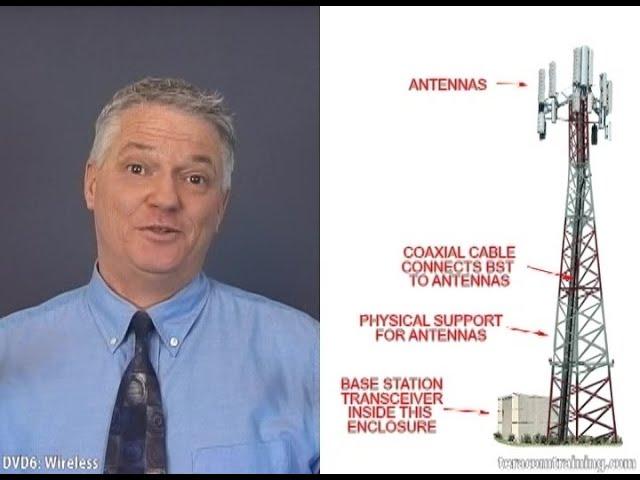 Mobile Network Components and Operation