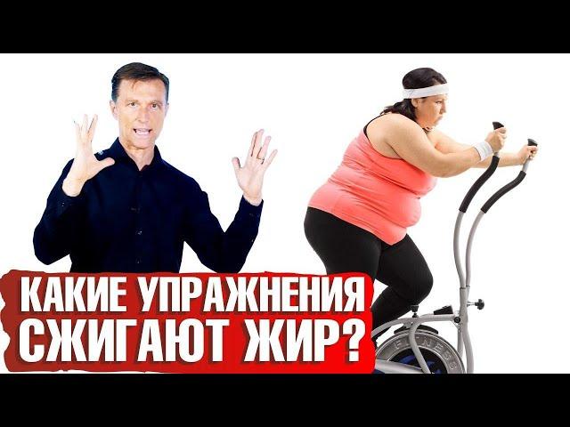 Какие упражнения сжигают жир? Главный секрет похудения ‍️