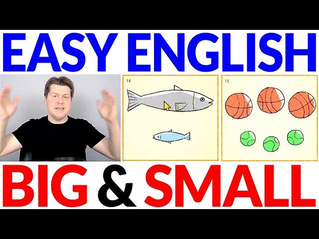 Big and Small  Learn English Basic Vocabulary | Simple Easy Beginner English Comprehensible Input