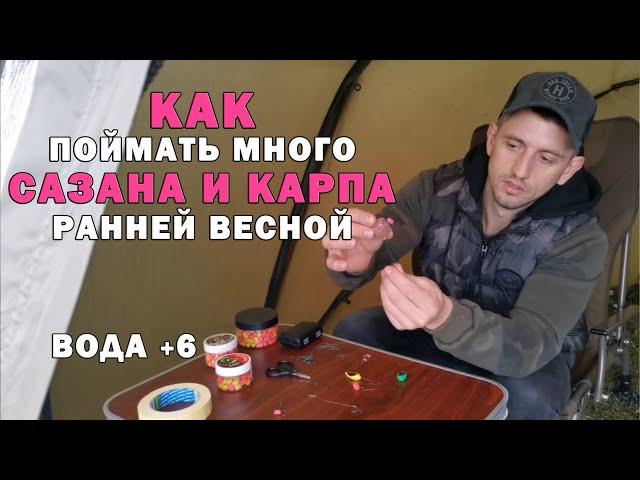 Карпфишинг. Как поймать МНОГО сазана и карпа по холодной воде. Уловистый поводок на сазана и карпа