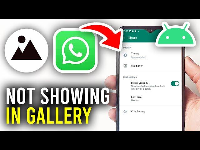 How To Fix WhatsApp Photos Not Showing In Android Gallery - Full Guide