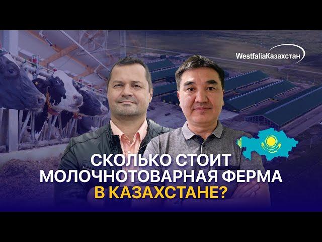 Молочная отрасль в Казахстане: прибыльный бизнес с дорогим входным билетом | Сансызбай Умирбеков