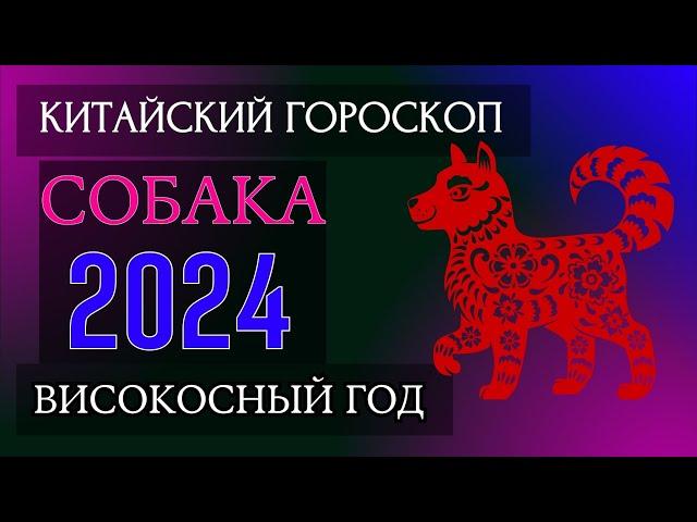 СОБАКА  2024 - ПОДРОБНЫЙ КИТАЙСКИЙ ГОРОСКОП | Високосный 2024 год