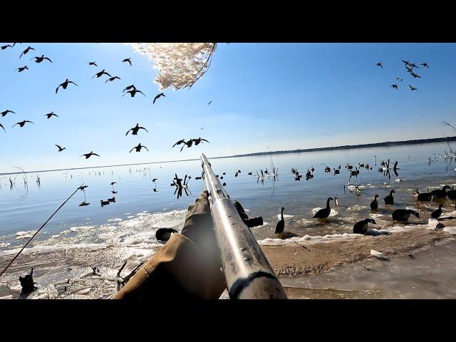 MIXED BAG Limits During The DEEP FREEZE | Duck Hunting 2025