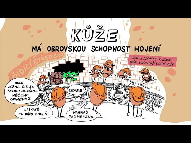 JAK FUNGUJE LIDSKÁ KŮŽE? – NEZkreslená věda IX