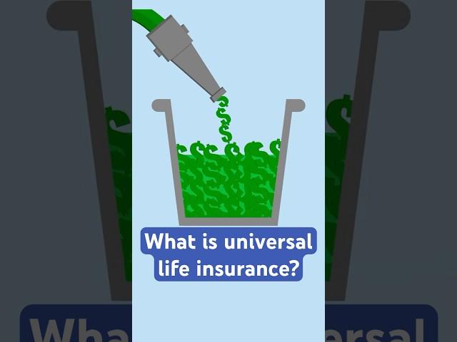 What is universal life insurance?