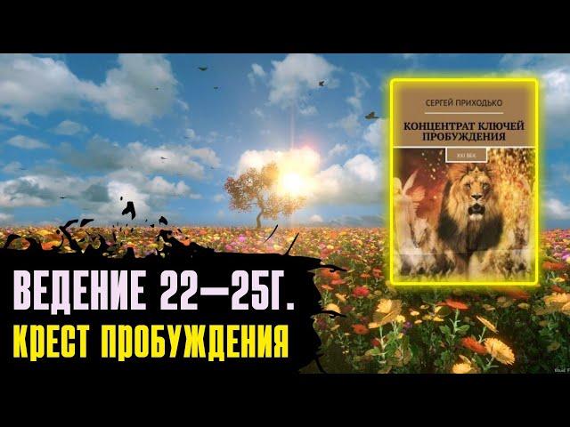 4. ВЕДЕНИЕ 22—25Г. — КРЕСТ ПРОБУЖДЕНИЯ. Концентрат ключей Пробуждения. Аудиокнига