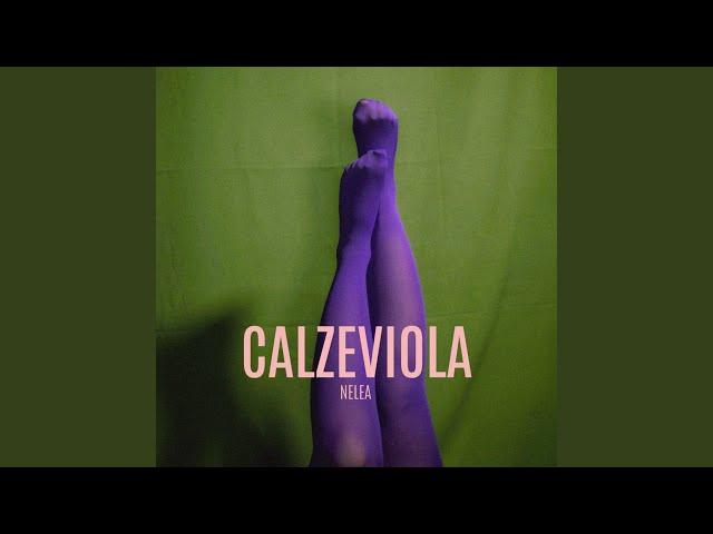 Calze viola