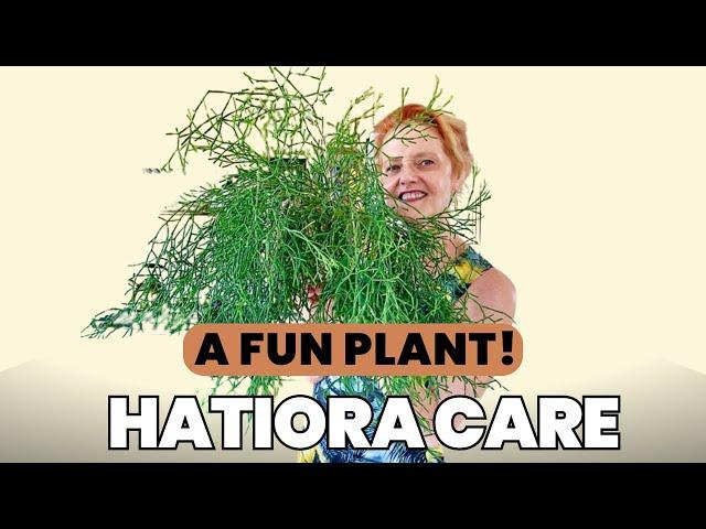 DANCING BONES CACTUS CARE: Tips For Growing A Thriving Hatiora Salicornioides