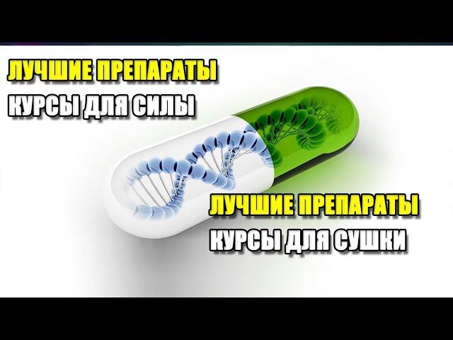 ЛУЧШИЕ ПРЕПАРАТЫ И КУРСЫ ДЛЯ СИЛЫ  | ЛУЧШИЕ ПРЕПАРАТЫ И КУРСЫ ДЛЯ СУШКИ