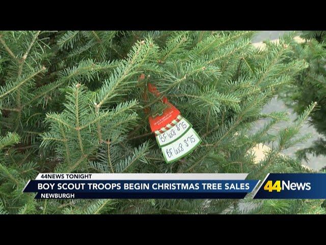 Boy Scout troops begin Christmas tree sales