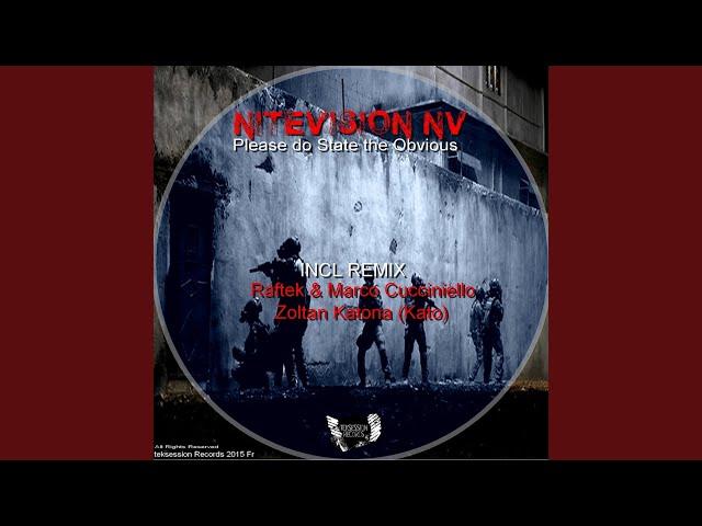 Please Do State The Obvious (Original Mix)