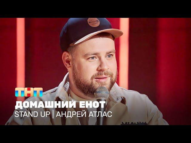 Stand Up: Андрей Атлас - домашний енот @TNT_television