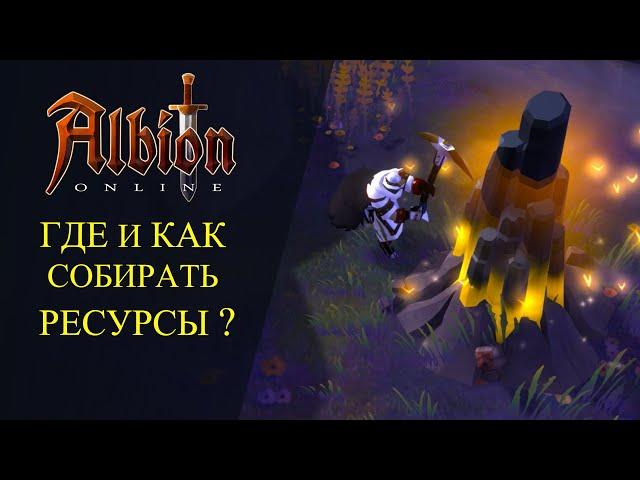 Albion online : ГДЕ И КАК СОБИРАТЬ РЕСУРСЫ ?