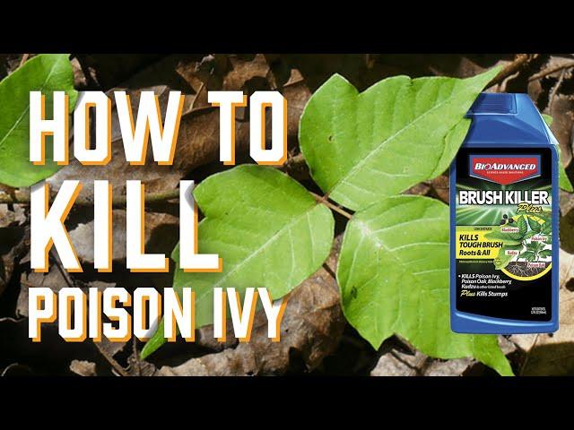 How to kill Poison Ivy