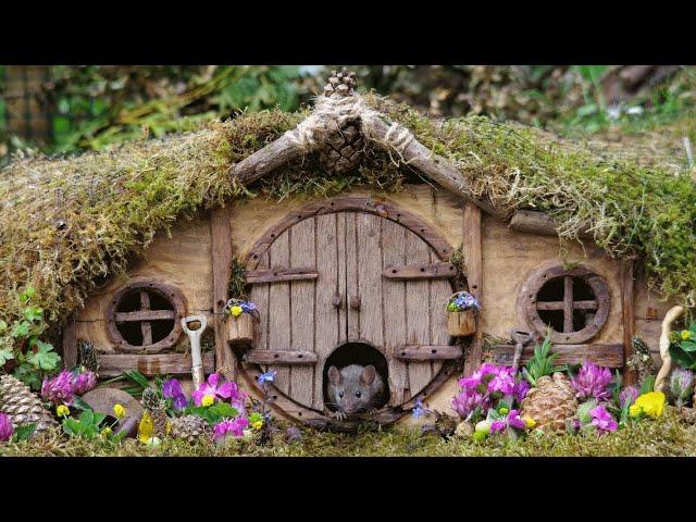 Man builds an entire village for mouse he saw in his garden