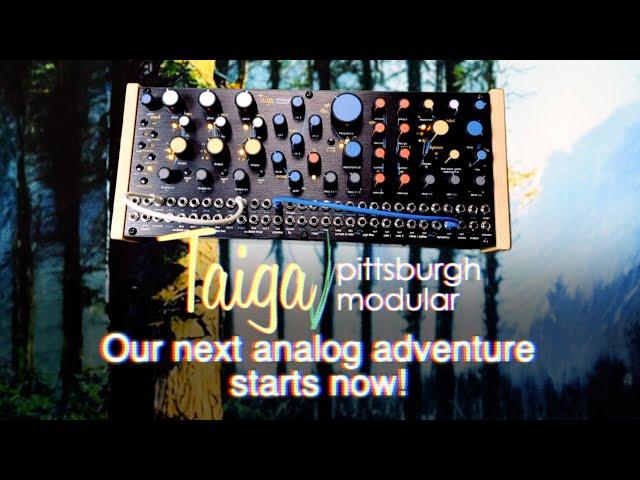 Introducing Pittsburgh Modular Taiga Paraphonic Synthesizer