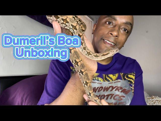 Dumeril’s Boa Unboxing #snaketalk #reptiles #pets #boa #dumerilsboa #boas #snake #unboxing