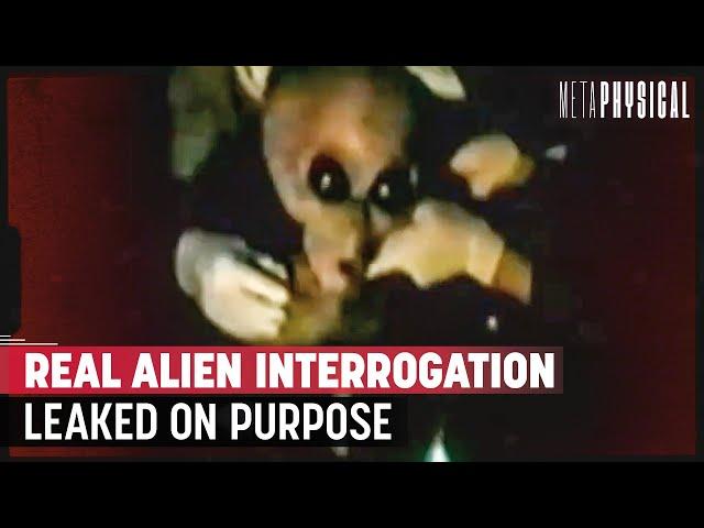 Remote Viewing the Area 51 Alien Interview