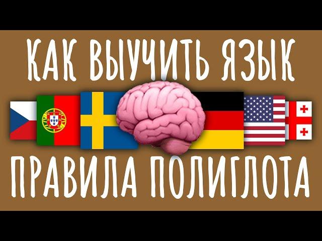 Как ЛЕГКО выучить ЛЮБОЙ язык / #ТЕДсаммари