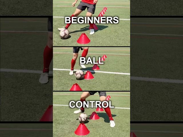 Ball Control Training for Beginners