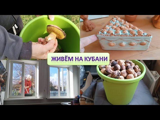 Удачный обжиг керамики // Повесила шторы // Набрали орехов // Съездили за грибами // Мотивация