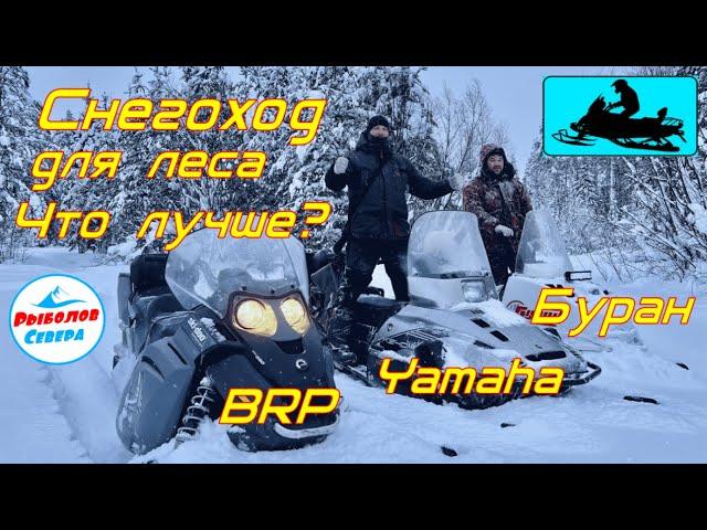 YAMAHA, BRP Ski-doo или БУРАН?  СНЕГОХОД ДЛЯ ЛЕСА. КАКОЙ ЛУЧШЕ ?   #Рыболов_Севера