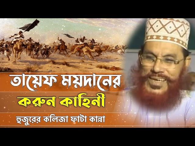 delwar hossain saidi waz mahfil তায়েফ ময়দানে করুন কাহিনি। যে শুনে সেই কাদে।