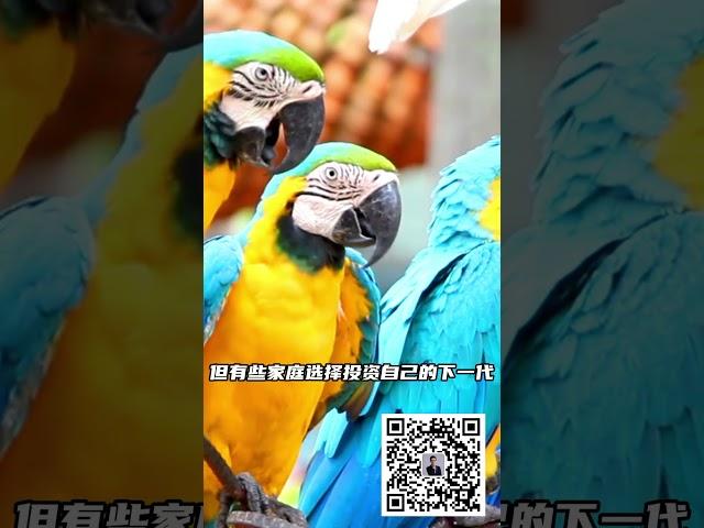 牺牲一两代，移民到海外，真的值得吗？