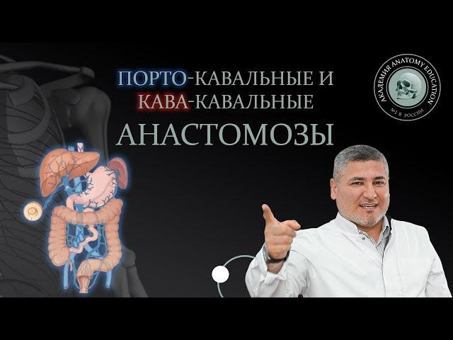 Порто-кавальные и кава-кавальные анастомозы / ANASTOMOSES