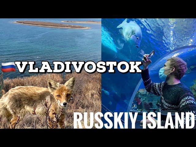 VLADIVOSTOK - RUSSKIY ISLAND (влог Владивосток- остров русский