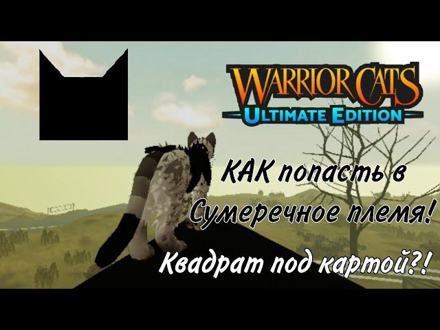 КАК попасть в Сумеречное Племя!/Квадрат под картой warrior cats ultimate edition!