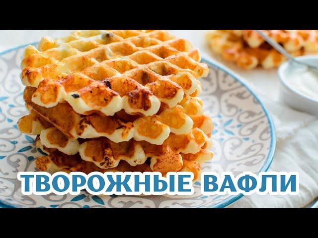 ТВОРОЖНЫЕ Вафли к чаю!  Очень ВКУСНО, ПРОСТО и БЫСТРО! #рецепты #еда #простойрецепт #shorts