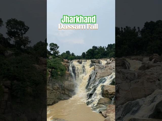 Dassam water fall |Jharkhand most famous fall |Jharkhand best tourists Places #shorts #ytshorts