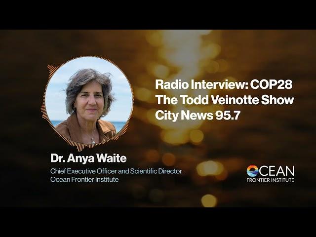 Radio Interview: COP28 The Todd Veinotte Show City News 95.7