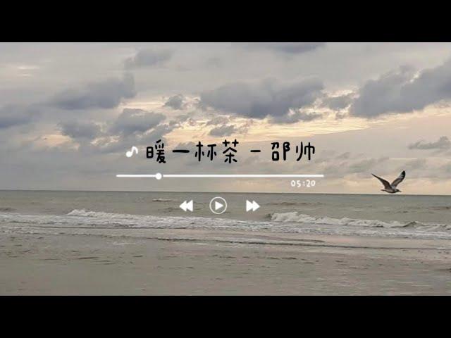 《暖一杯茶》- 邵帅 (nuan yi bei cha - shaoshuai) chi/pin lyrics