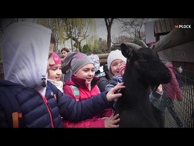 ZOO Płock