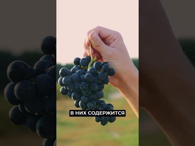  Самое полезное вино на праздники #новости #рекомендации