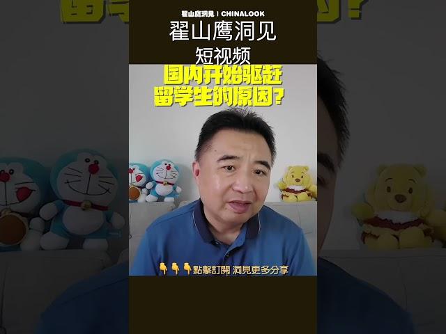 翟山鹰：️中国开始驱赶外国留学生 #翟山鹰洞见 #中国眼  #翟山鹰