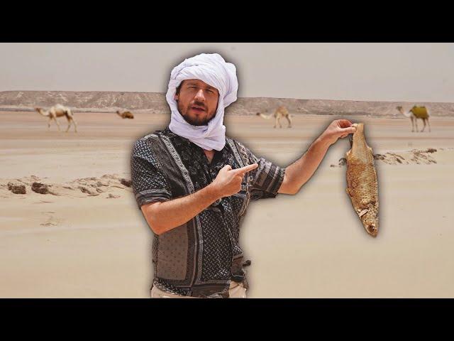 Why are there fish under the sand of the Sahara desert? | DAKHLA 