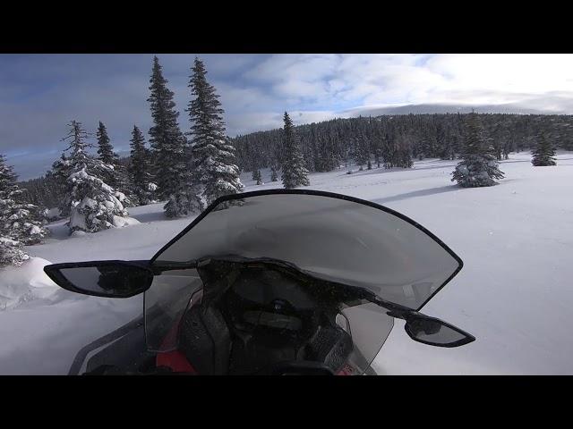 2020 Ski-Doo Expedition SE 900 ACE Turbo off trail in fresh pow !