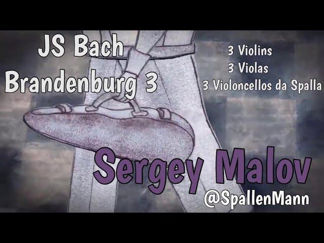 Bach Brandenburg Concerto 3 played by Sergey Malov (@Spallenmann)