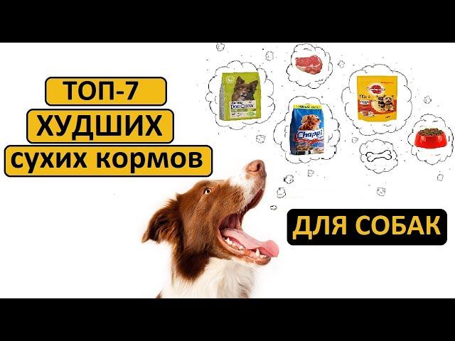 ТОП-7 худших сухих кормов для собак | Совет ветеринара