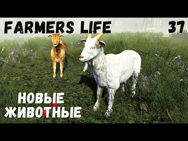 Farmer's Life - Обновление.  Добавили новых животных # 37